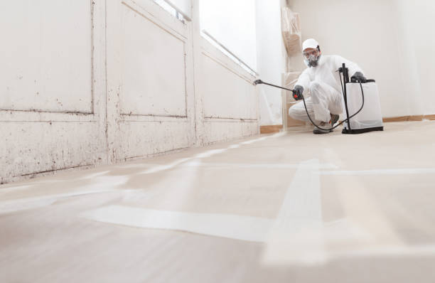 24/7 Emergency Mold Testing experts in Garfield, NJ